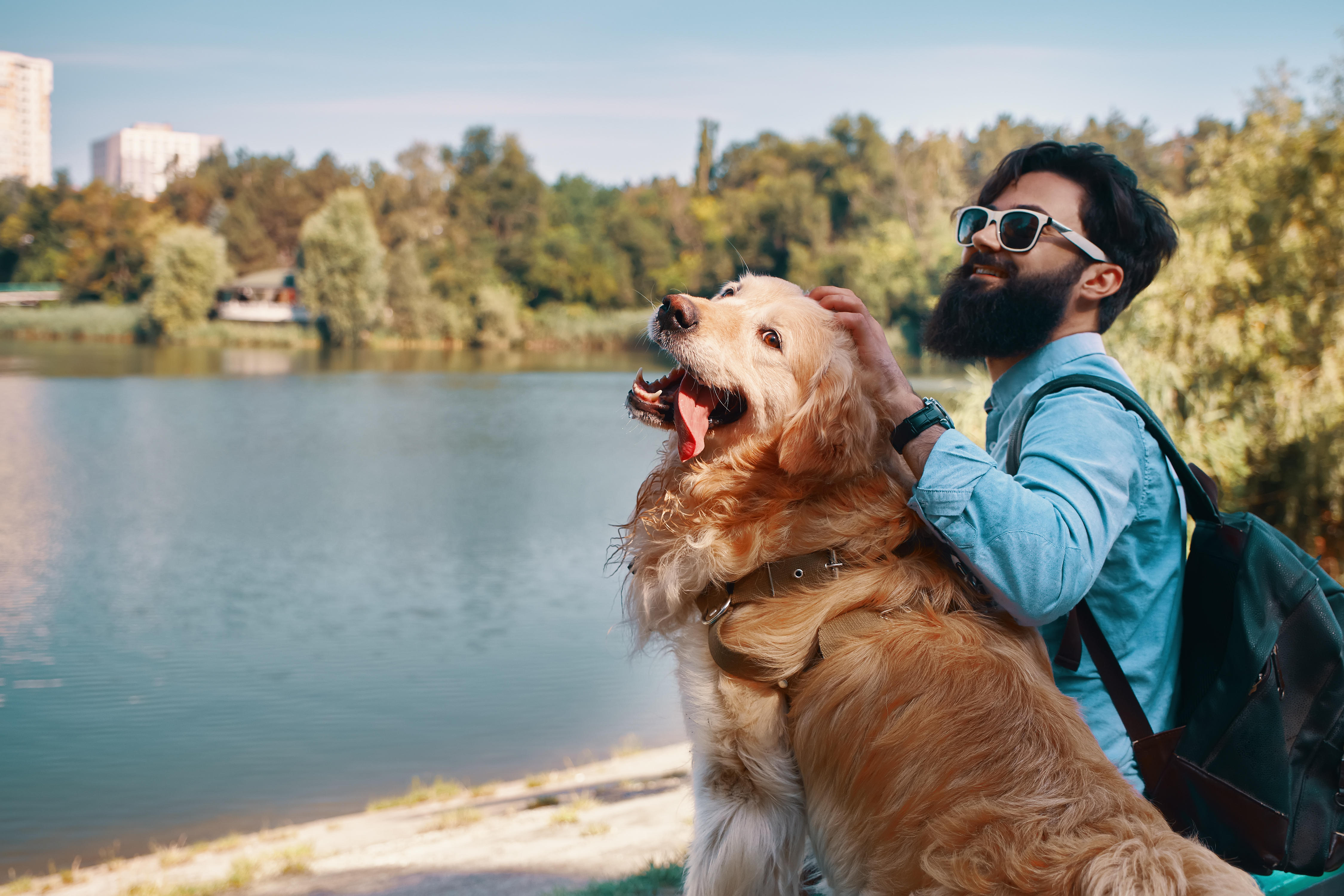 Reisen mit Hund Urlaub Auto Flugzeug Tierarzt Paderborn